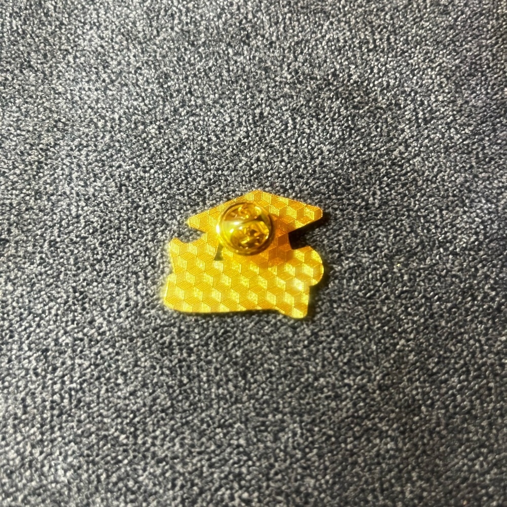 New! Graduate Lapel Pin - Picture 2 of 2